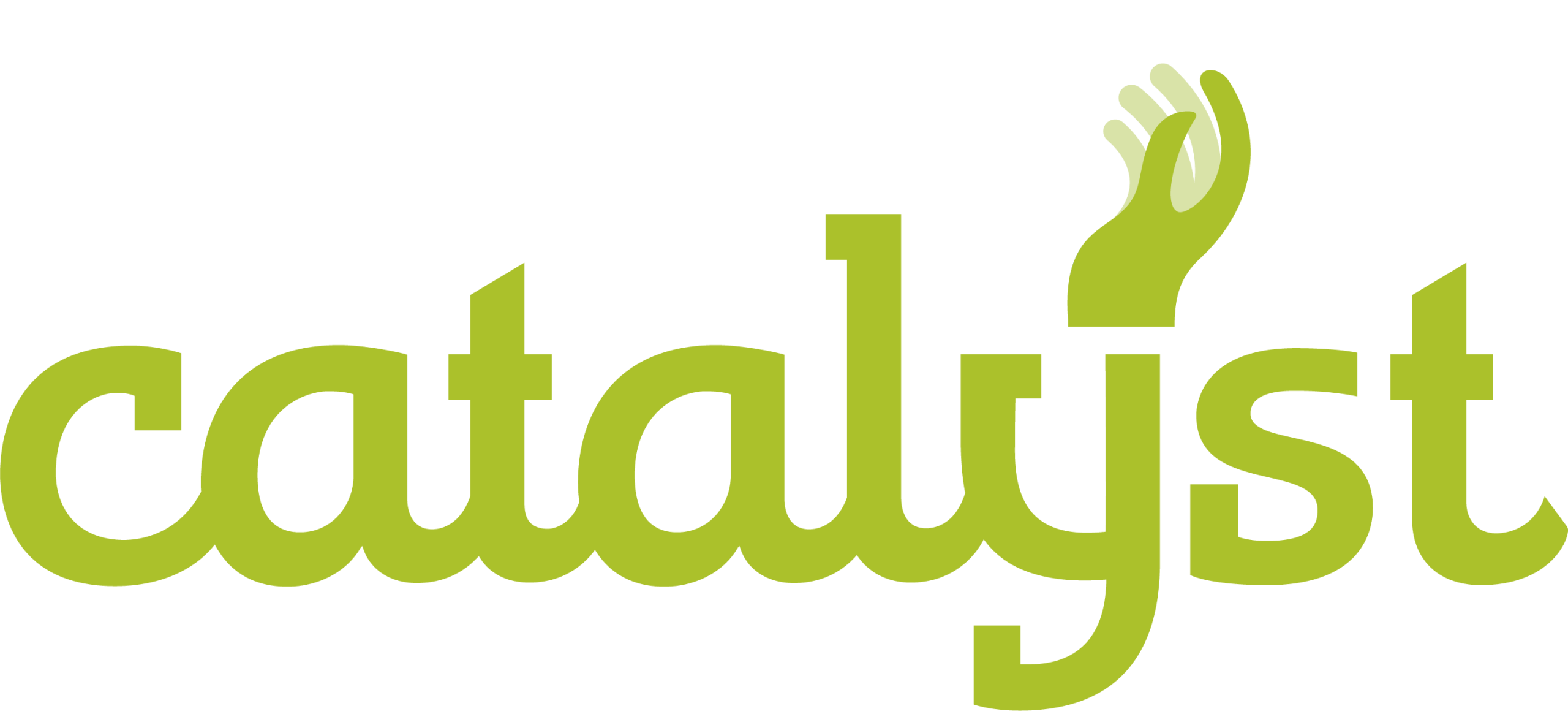 Catalyst Support Limited logo